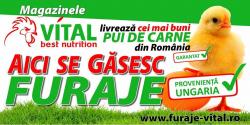 Furaje, hrana pui > Vital Best Nutrition, Timisoara, TM, m6355_5.jpg